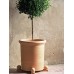 Vase Laurier